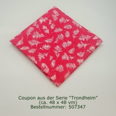 Coupon aus der Serie Trondheim