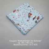 Coupon Rotkehlchen im Schnee